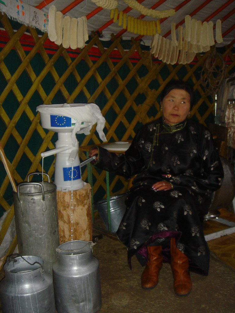 Fabrication de beurre en milieu traditionnel (yourte) : phase d’écrémage du lait, Sum de Onder-Ulaan (Bag de Belkhi), Arkhangaï, Mongolie