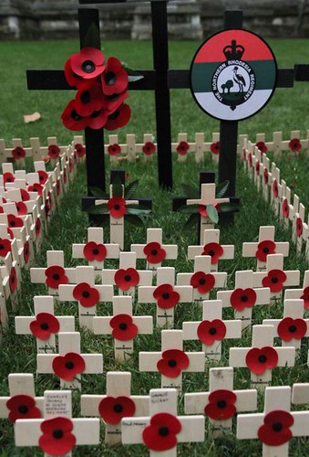 Westminster Abbey Field of Remembrance