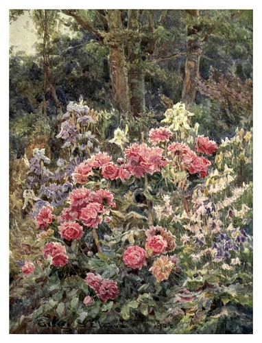006-Peonias y lirios-The garden that I love-1906-George S. Elgood