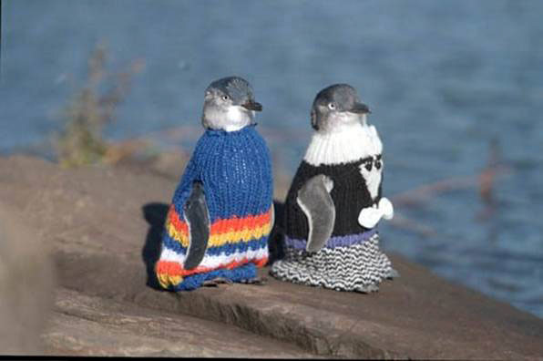 penguin_sweaters