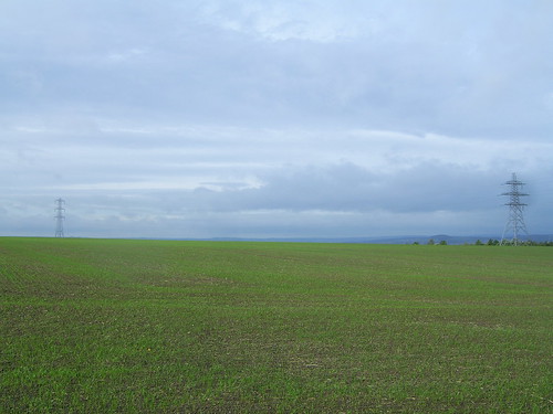 201011 Fields in County Durham