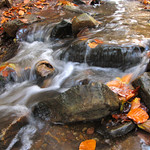 Powerful Fall Creek with tiny little Waterfalls