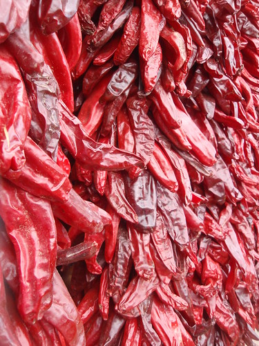 drying peppers (2)