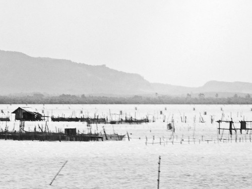 IMG_6532  Hatyai - Songkhla Lake