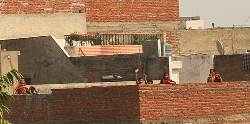 Roof people, Jaipur