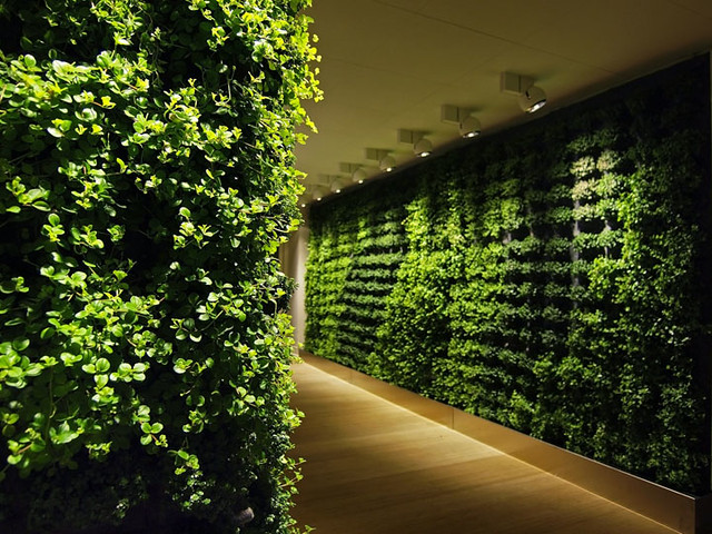 Plant-Wall-by-Greenworks