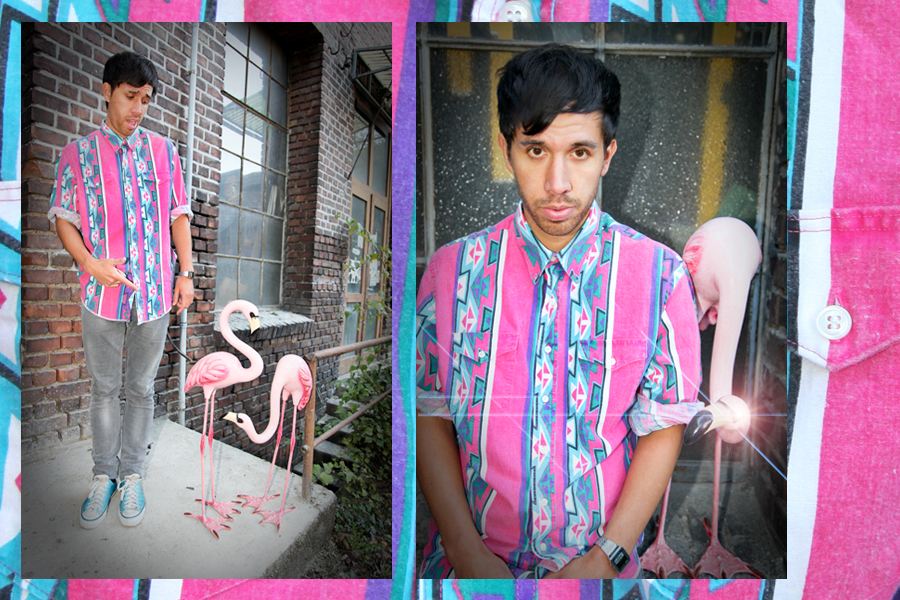 Flamingo_Collage