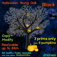 Halloween Young Oak Tree