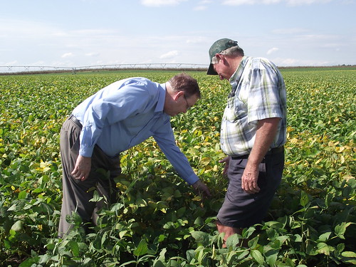 Under Secretary Tonsager and Worton farmer Frank Dill inspect a field of soybeans grown with the assistance of the County's spray irrigation system.