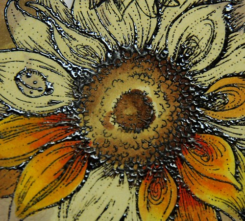 SunflowerBleached