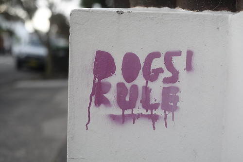 Dogs Rule