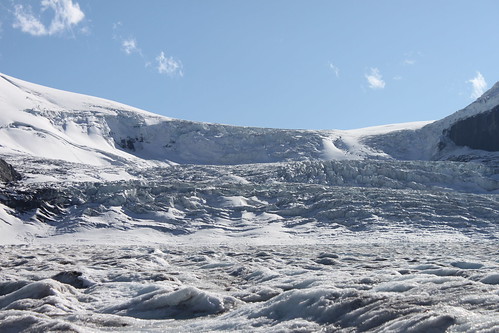 Columbia Ice field Glacier