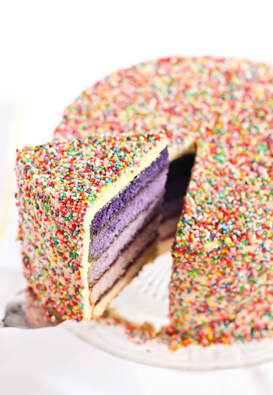 purple_ombre_sprinkle_cake-6