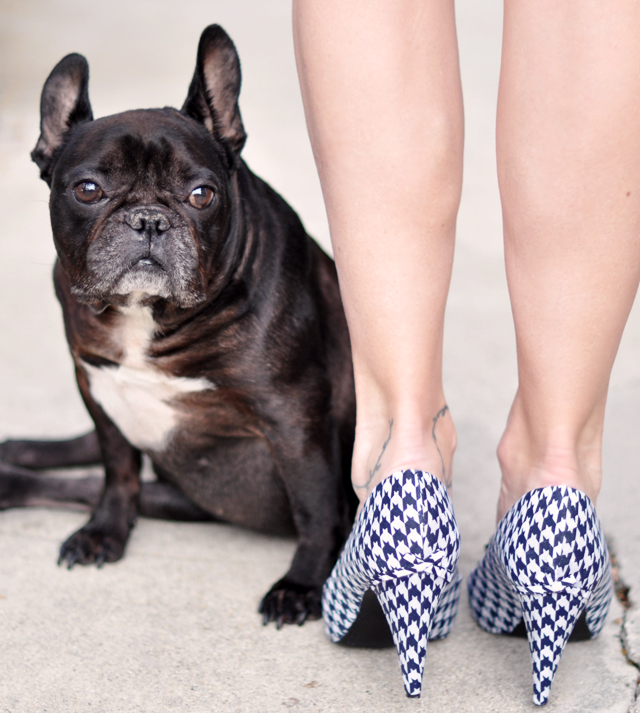 french bulldog-houndstooth shoes-heels-legs