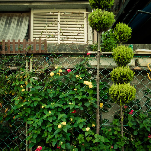 Skewered Tree Fence Garden, Minamikasai, Tokyo, Japan