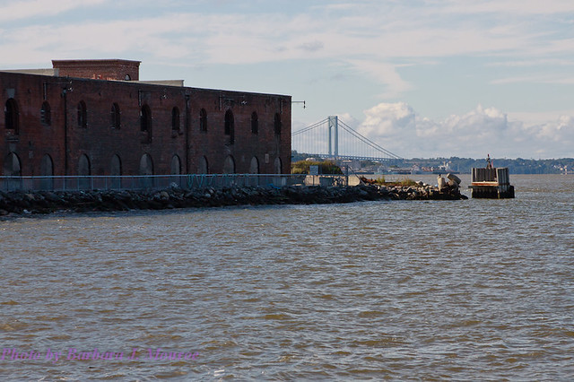 Red Hook (4 of 75)