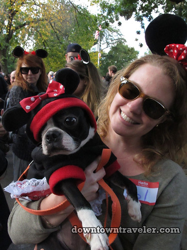 Tompkins Park Halloween Dog Parade_Boston Terrier as Mini Mouse
