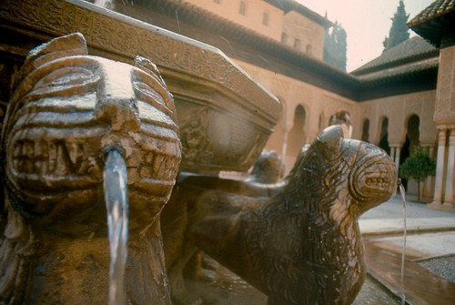Lion Fountain detail