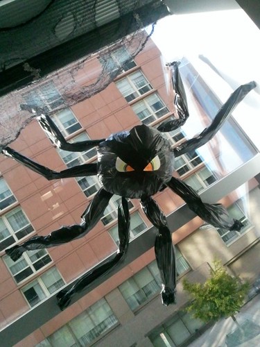 Spider Halloween 2011