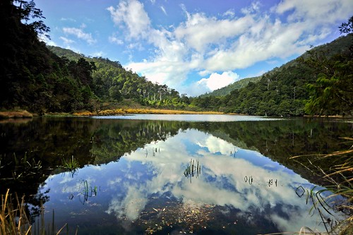 天地與山林融合湖水的倒影呈現高山湖泊鴛鴦湖自然保留區的地景之美。（圖片來源：林務局）