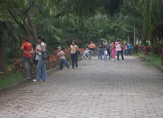 Jardín BotánicoSDC10155