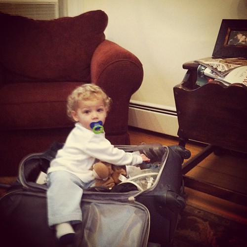 Miller in gigi's suitcase