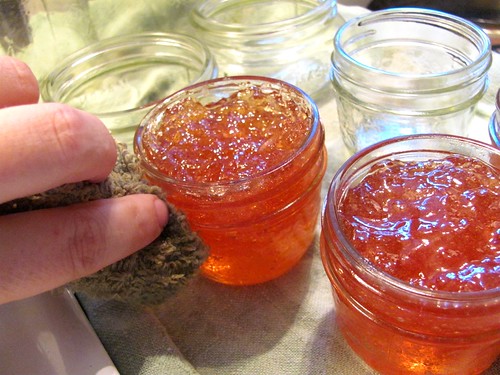 We Sure Can's Classic Apple Jelly