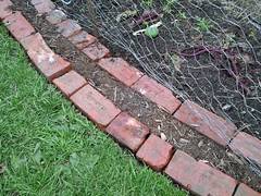 Double Brick edges