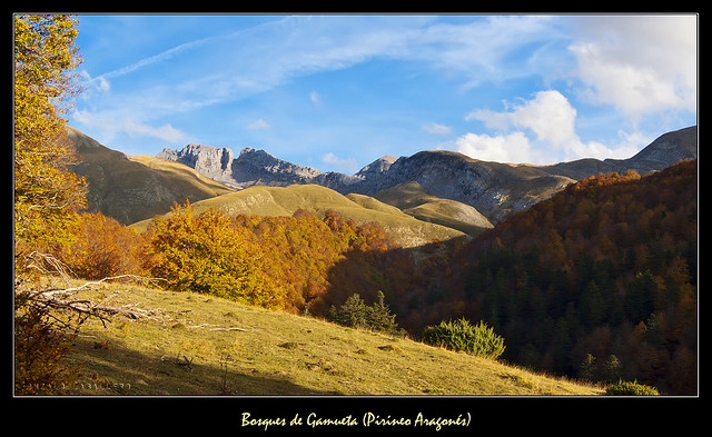 Bosques de Gamueta (Pirineo Aragonés)