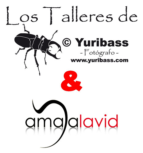 I Sesión Fotográfica "Los Talleres de © Yuribass & Amaya Lavid"