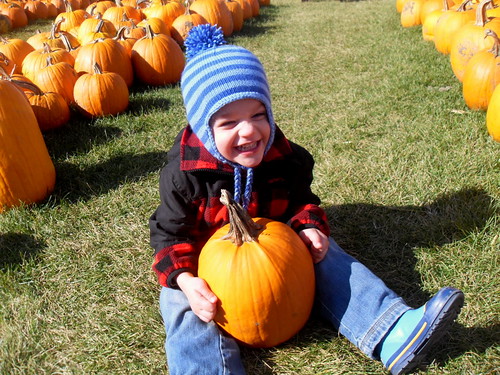 Benjamin's pumpkin!