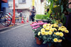 路地の花屋