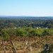 View from the Belmar Winery Marlboro, NY