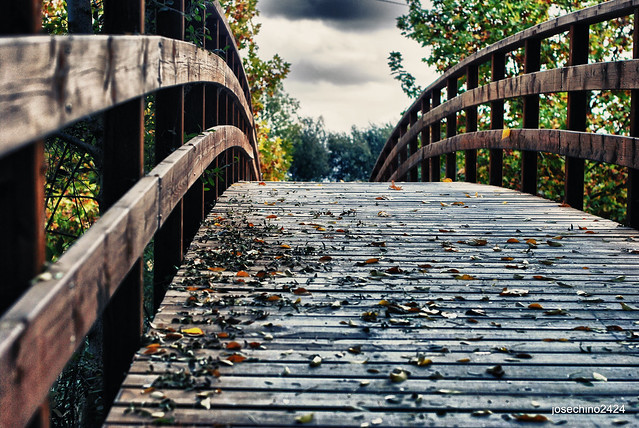 Cruzando el puente en otoño