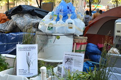 Occupy Wall Street 2011: Water System