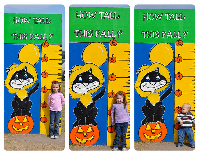 The Littles | How Tall This Fall