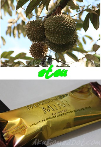 Pilihan: Durian atau Aiskrim Magnum Vanilla mini?