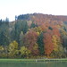 Fall foliage on the Danube