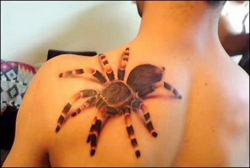 High Quality Spider Tattoos