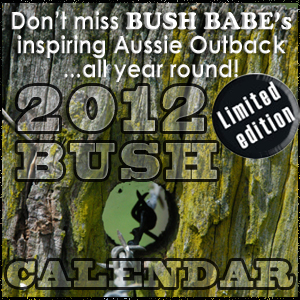 2012 calendar button 300
