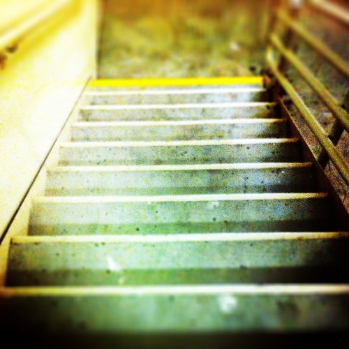 280/365 - Up or Down by Diane Meade-Tibbetts