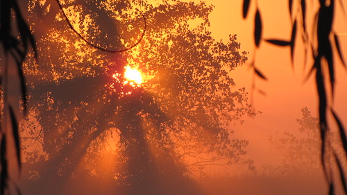 misty sunrise by ricmcarthur