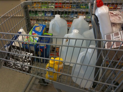 Our Shopping Cart
