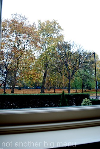 View of Hyde Park From Dinner by Heston