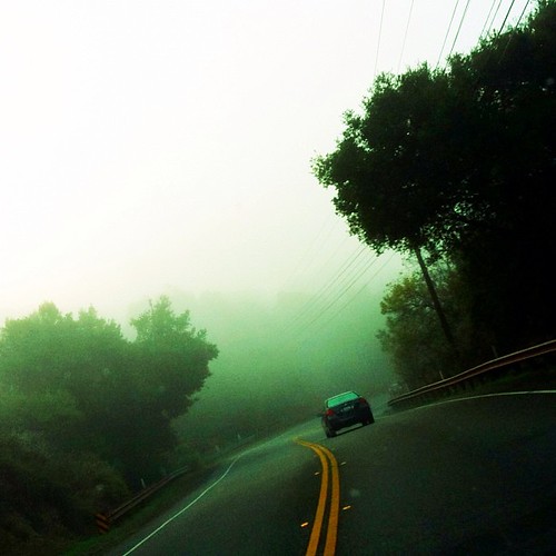Foggy canyon drive
