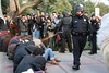 Occupy Davis Spray