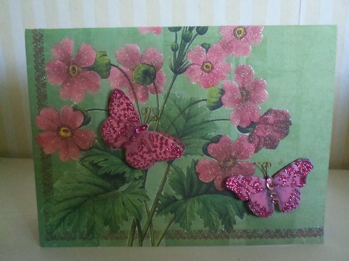 pink butterfly by davisturner