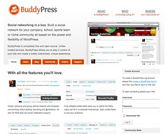 BuddyPress.org_1319156775589