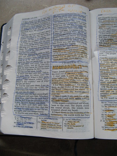Scripture Study