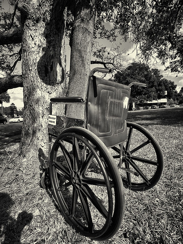 The Wheelchair and Trespass Oak